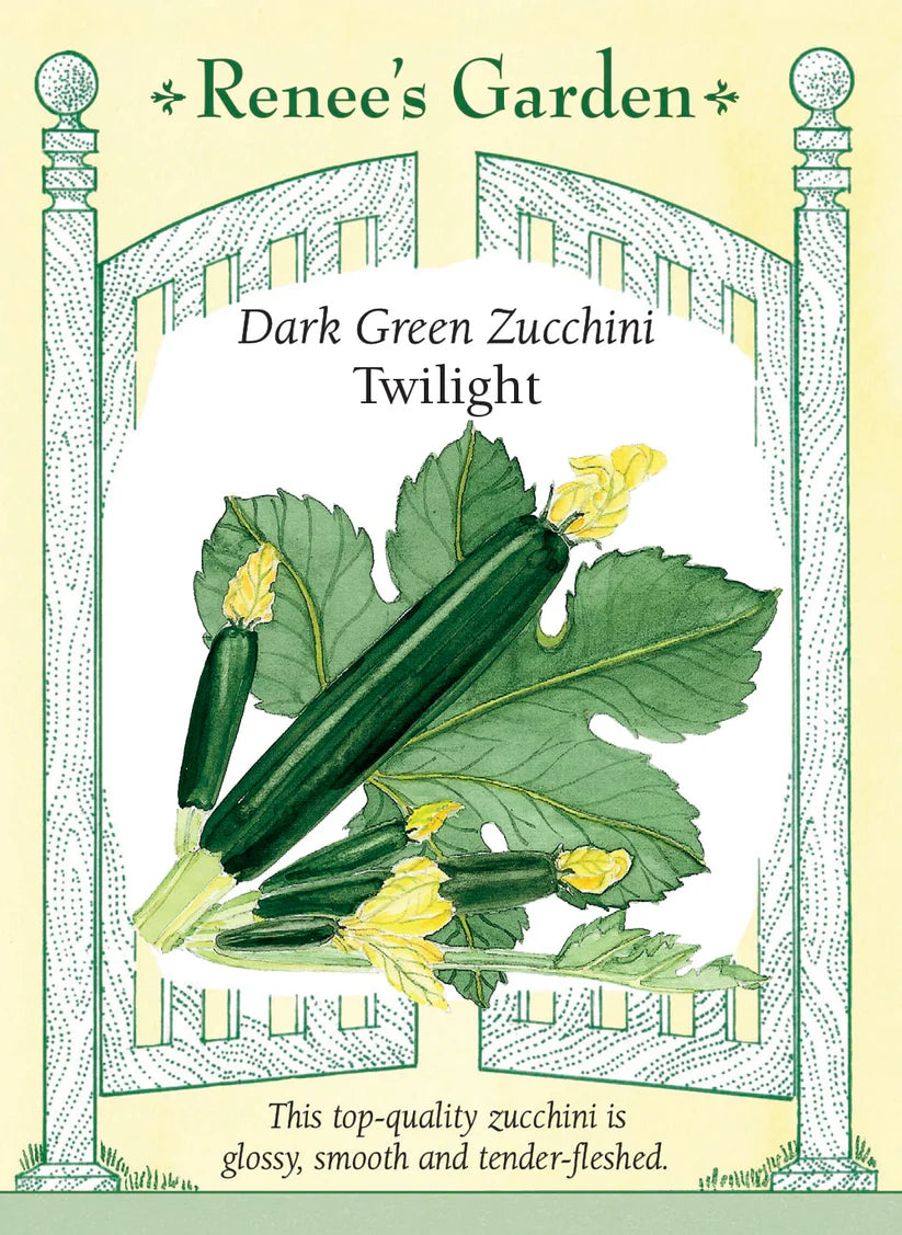 Squash - Zucchini - Dark Green Twilight