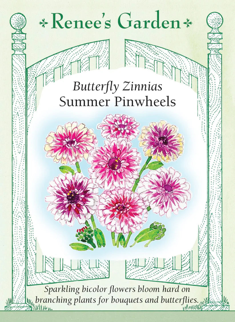 Zinnias - Summer Pinwheels
