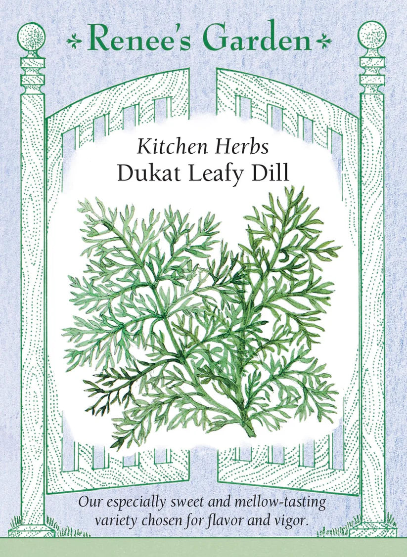 Dill - Dukat Long Standing