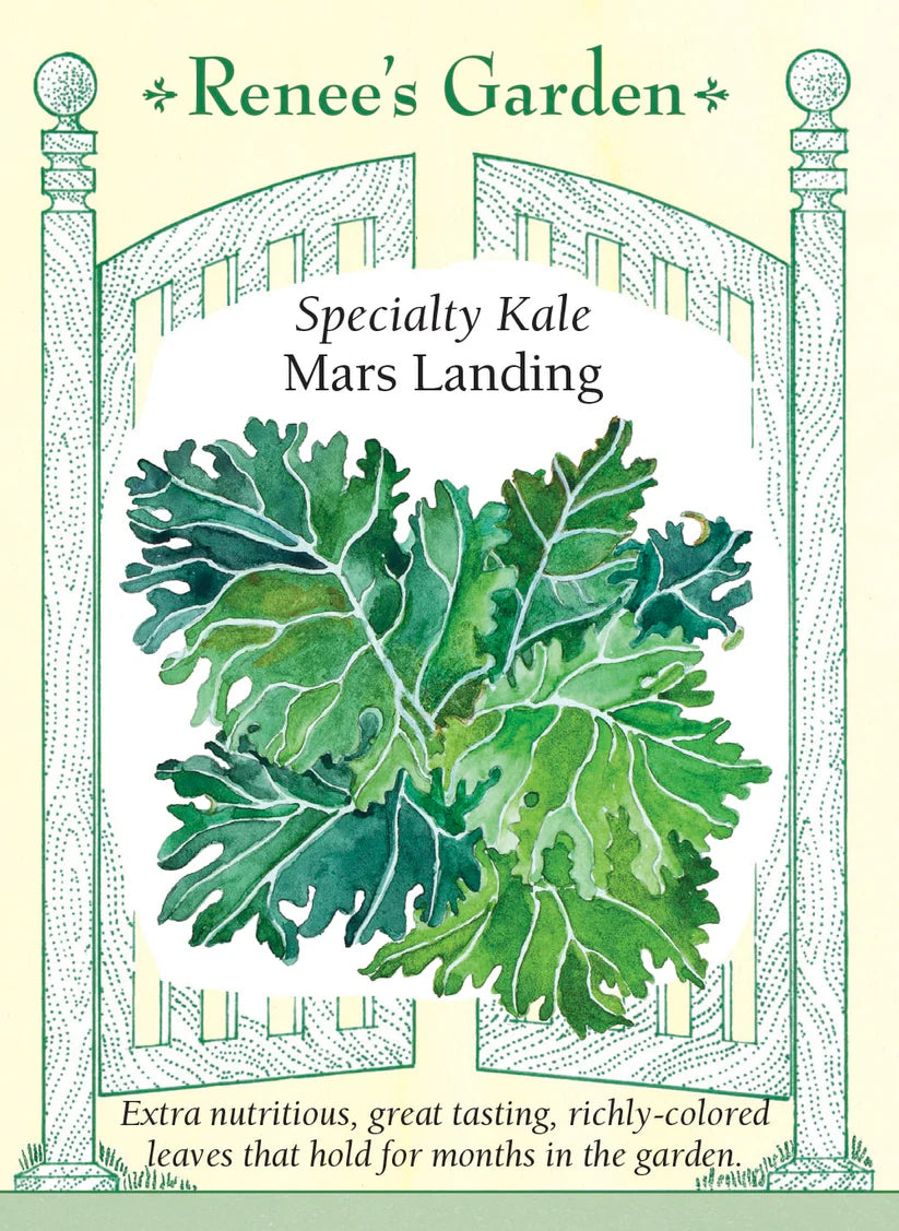 Kale - Mars Landing