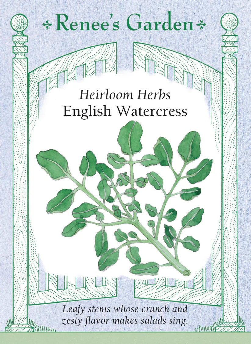Watercress - English