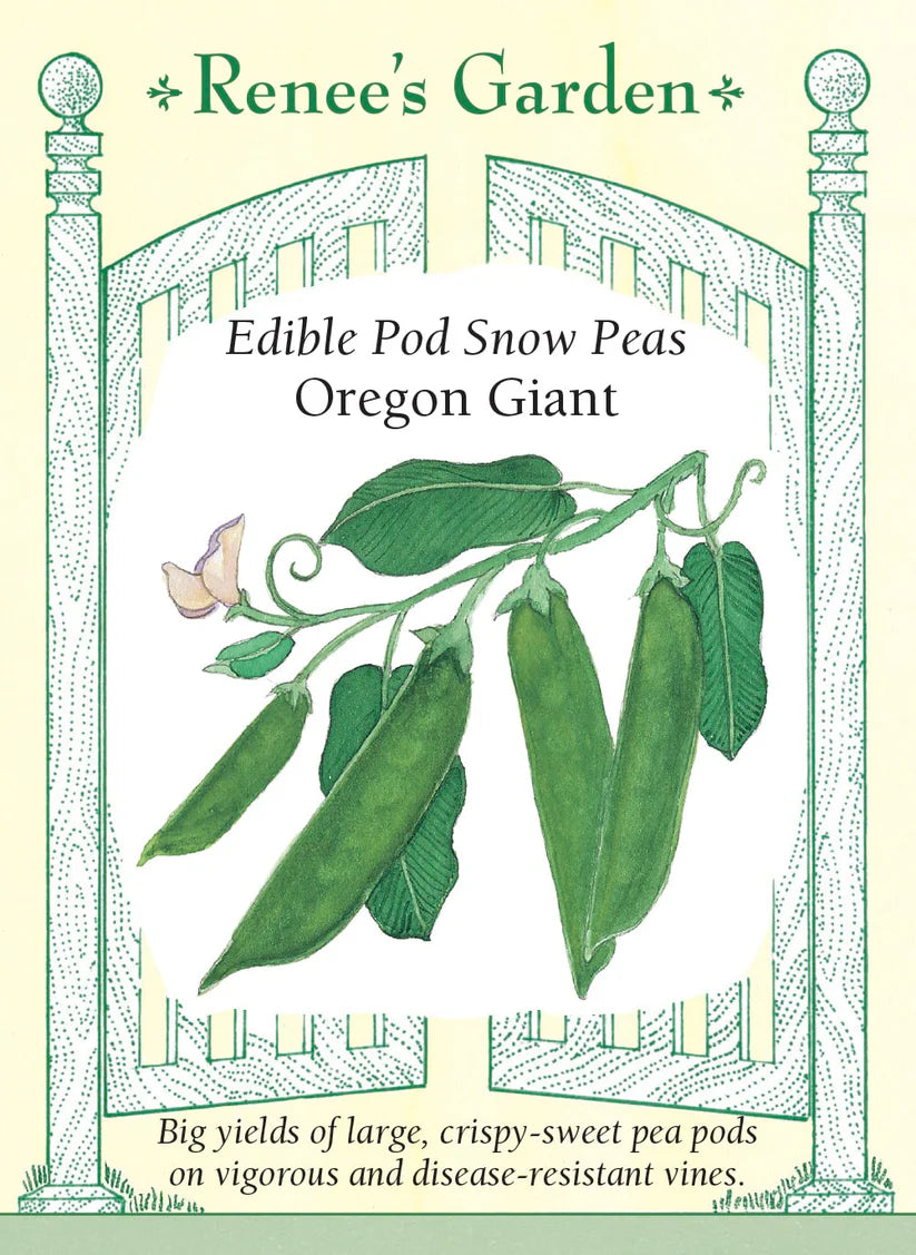 Peas - Oregon Giant