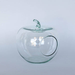 Glass Apple Terrarium