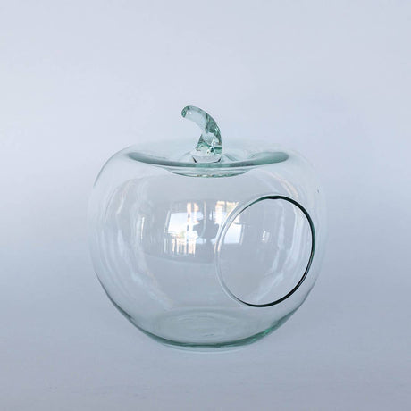 Glass Apple Terrarium