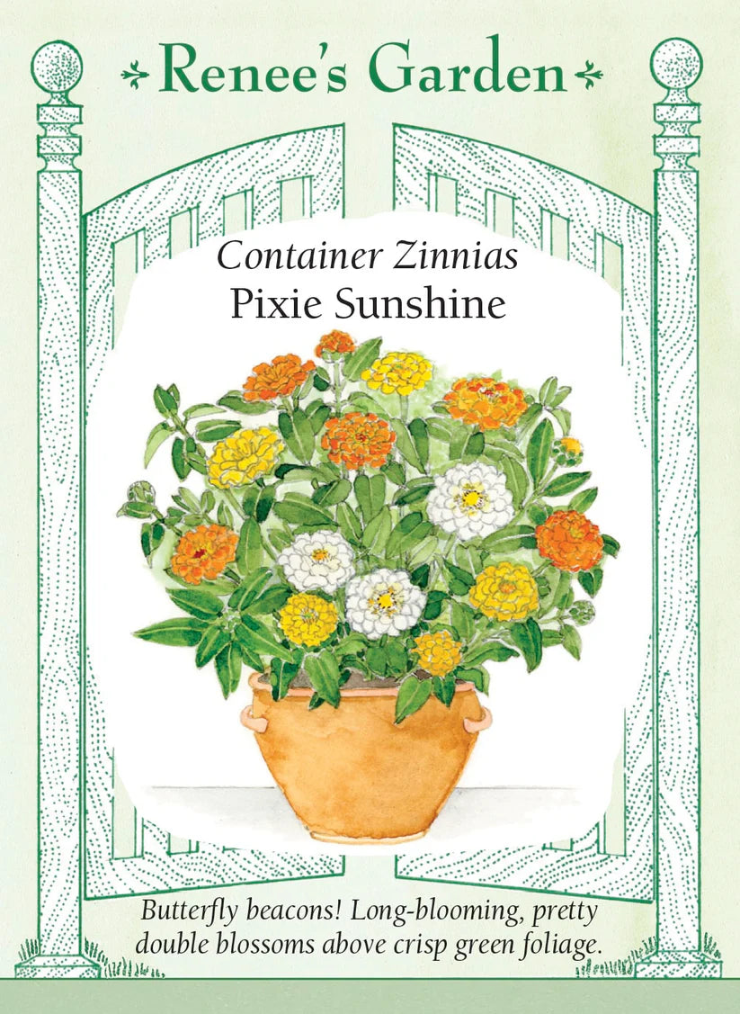 Zinnias - Pixie Sunshine