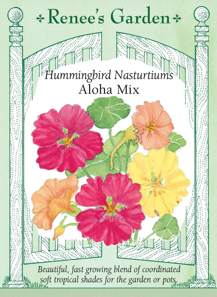 Nasturtiums - Aloha Mix