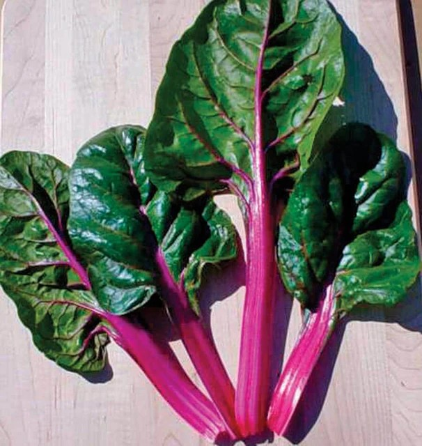 Swiss Chard - Magenta Sunset