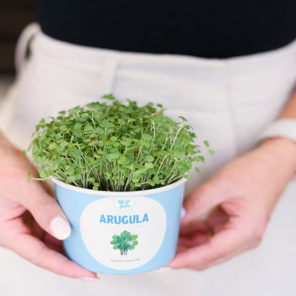 Teacher Gift Box - Sow and Grow Organic Microgreens