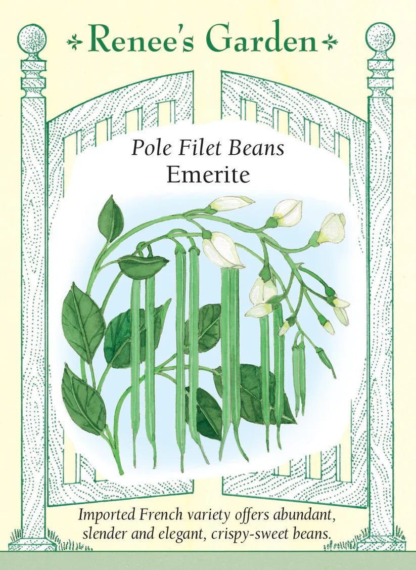 Bean - Bean Pole Emerite Filet