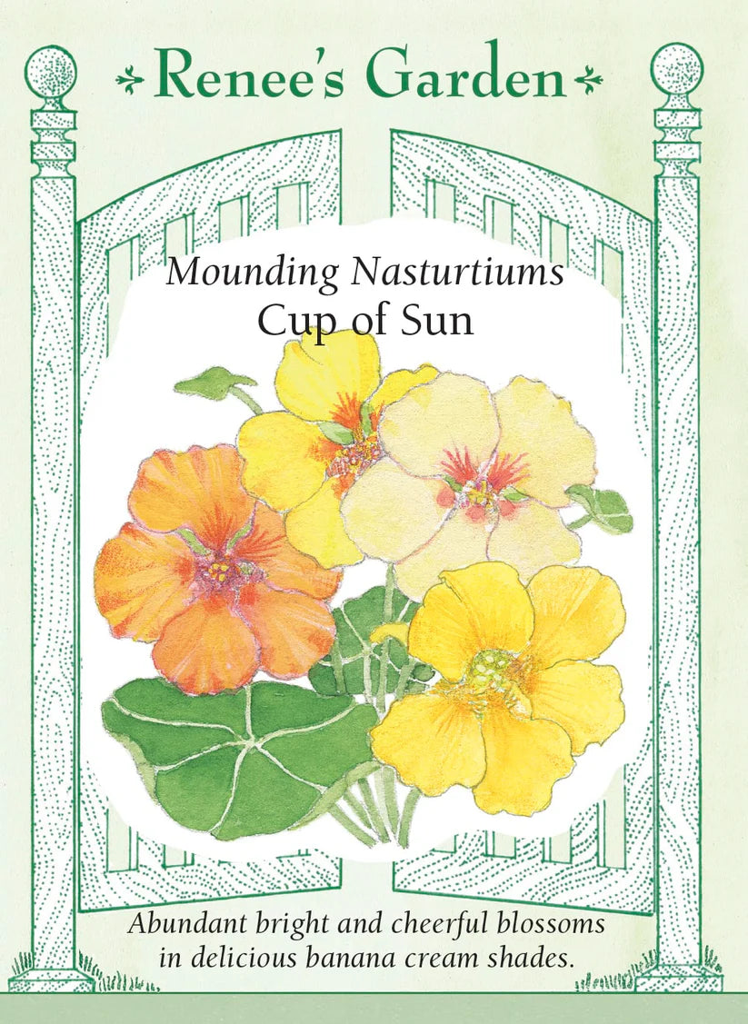 Mounding Nasturtium - Cup of Sun