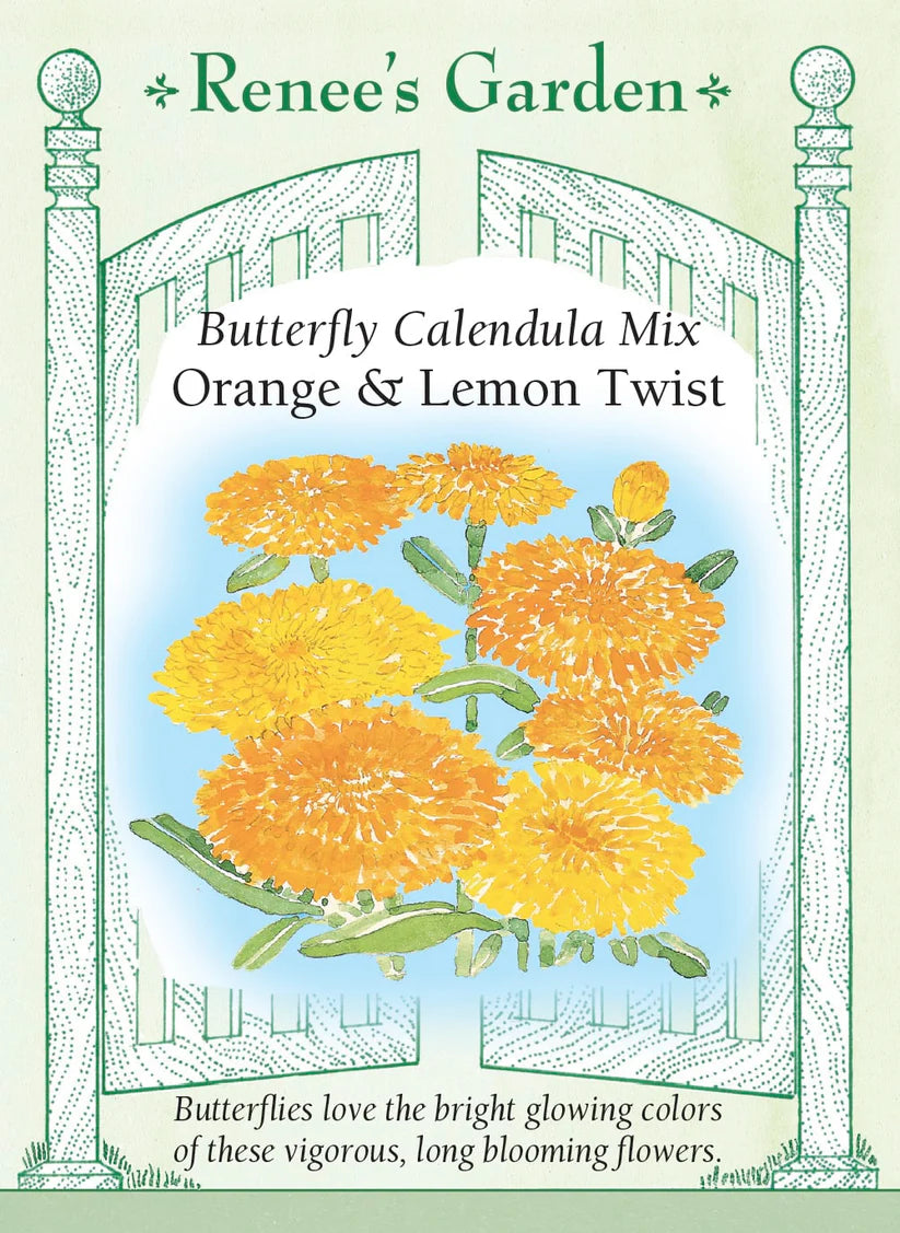Calendula - Orange & Lemon Twist