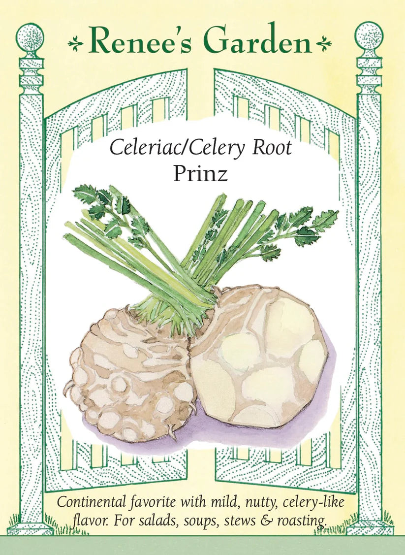 Celeriac (Celery Root) - Prinz