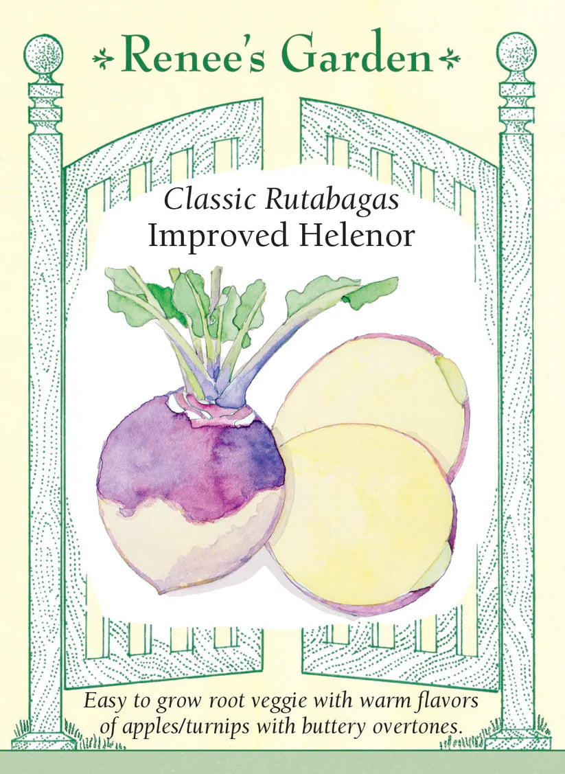 Rutabaga -Rutabaga Improved Helenor