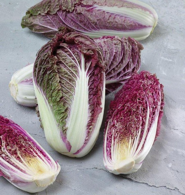 Cabbage - Red Scarvita F1