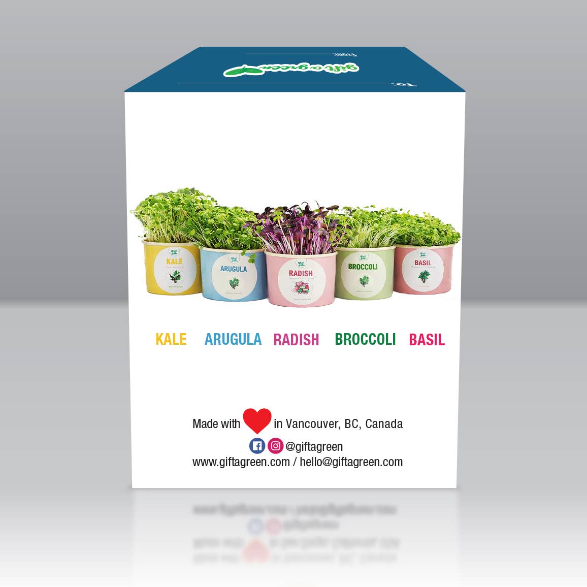 Father's Day Sow and Grow Organic Microgreens Gift Box