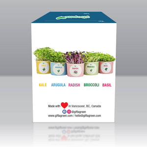 Father's Day Sow and Grow Organic Microgreens Gift Box