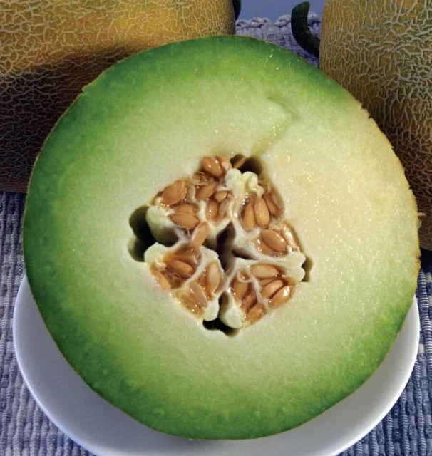 Melons - Diplomat F1