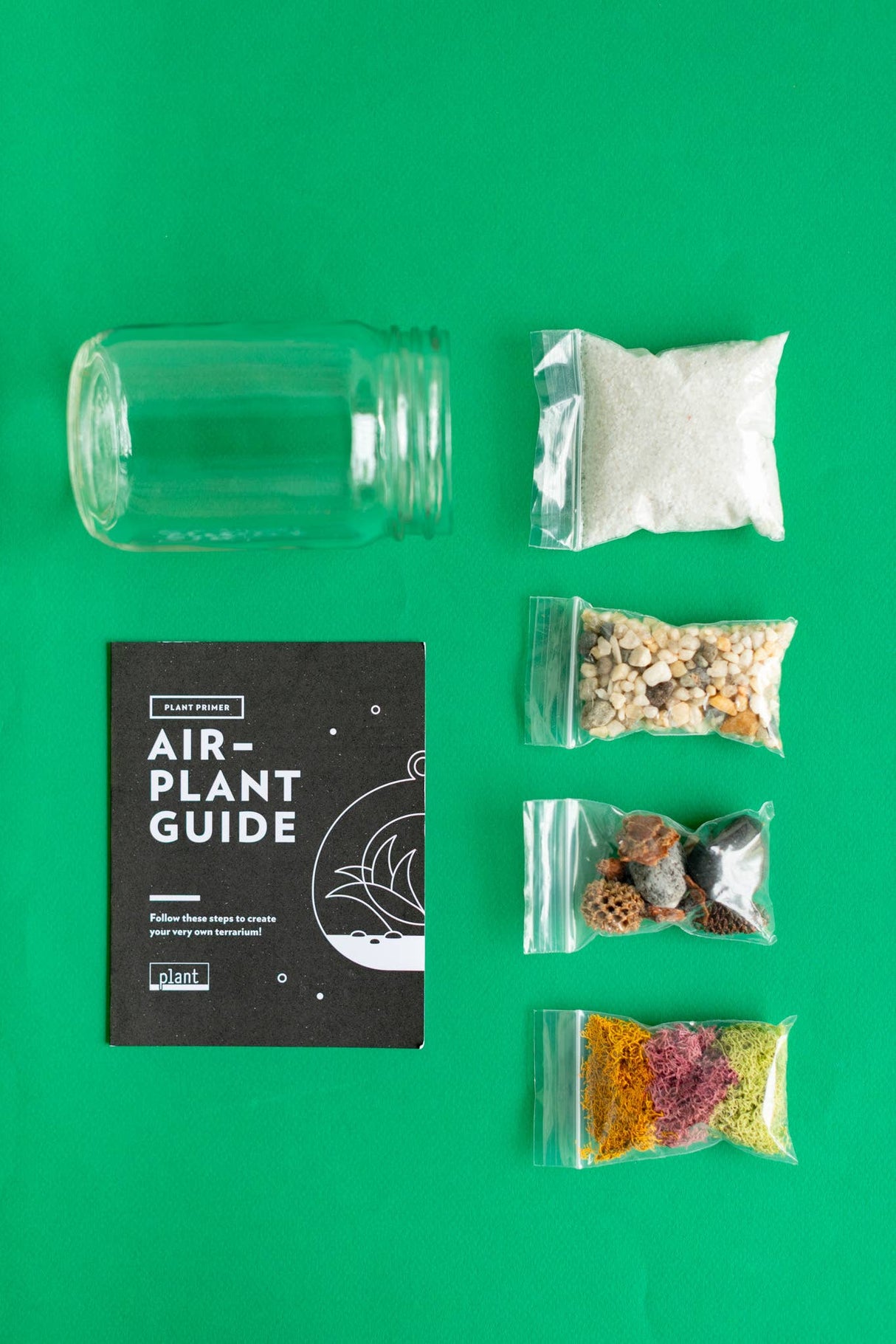 Airplant Terrarium Kit : Jar