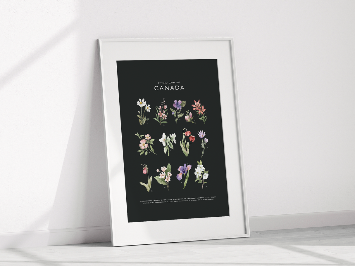 Official Flowers of Canada Art Print