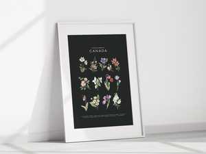 Official Flowers of Canada Art Print