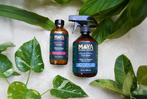 MAYA Plant Elixir -Concentrate