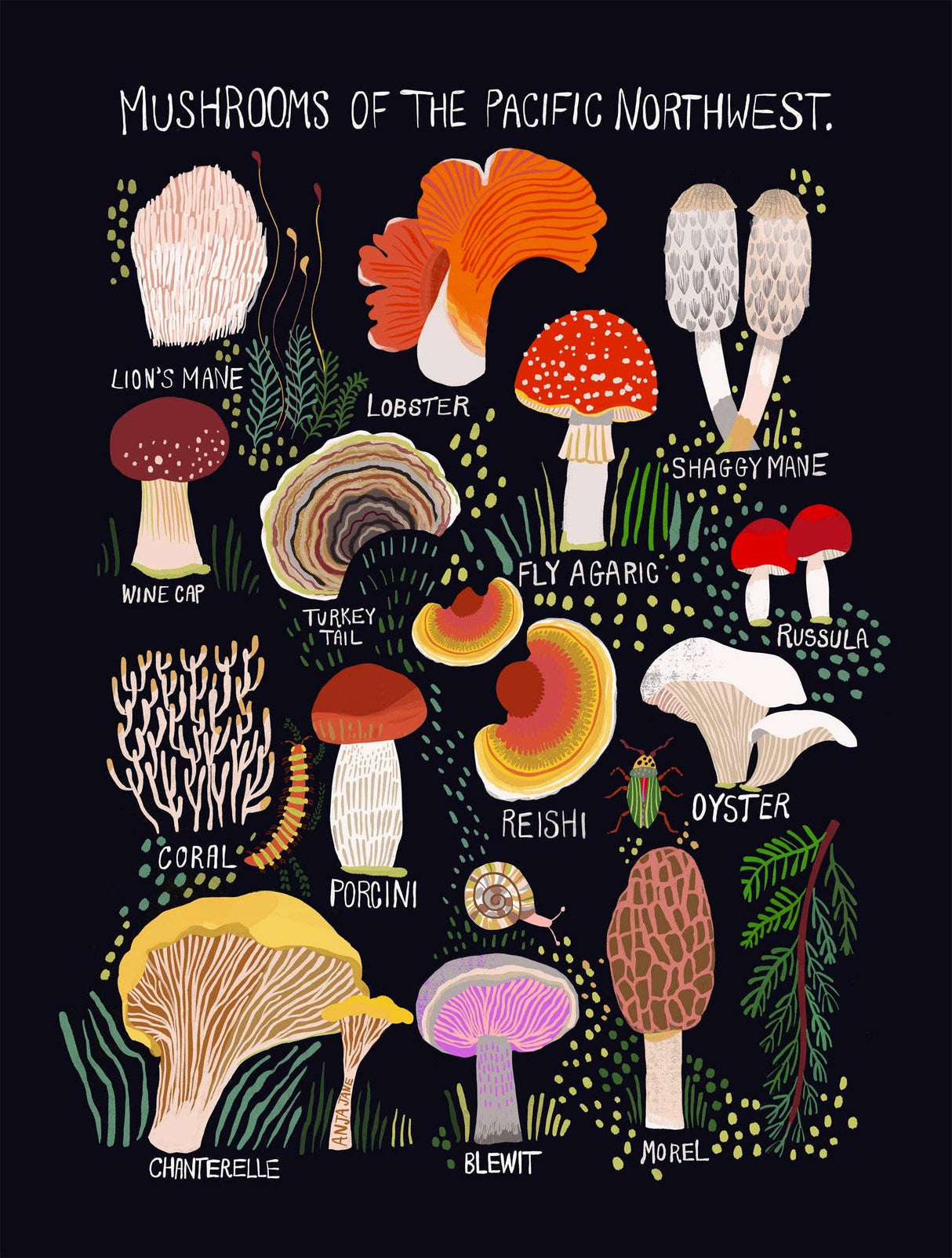 Mushrooms of the Pacific Northwest Art Print