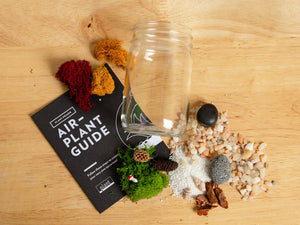 Airplant Terrarium Kit : Jar