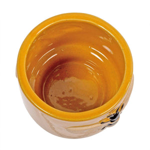Truu Design Bee Ceramic Planter