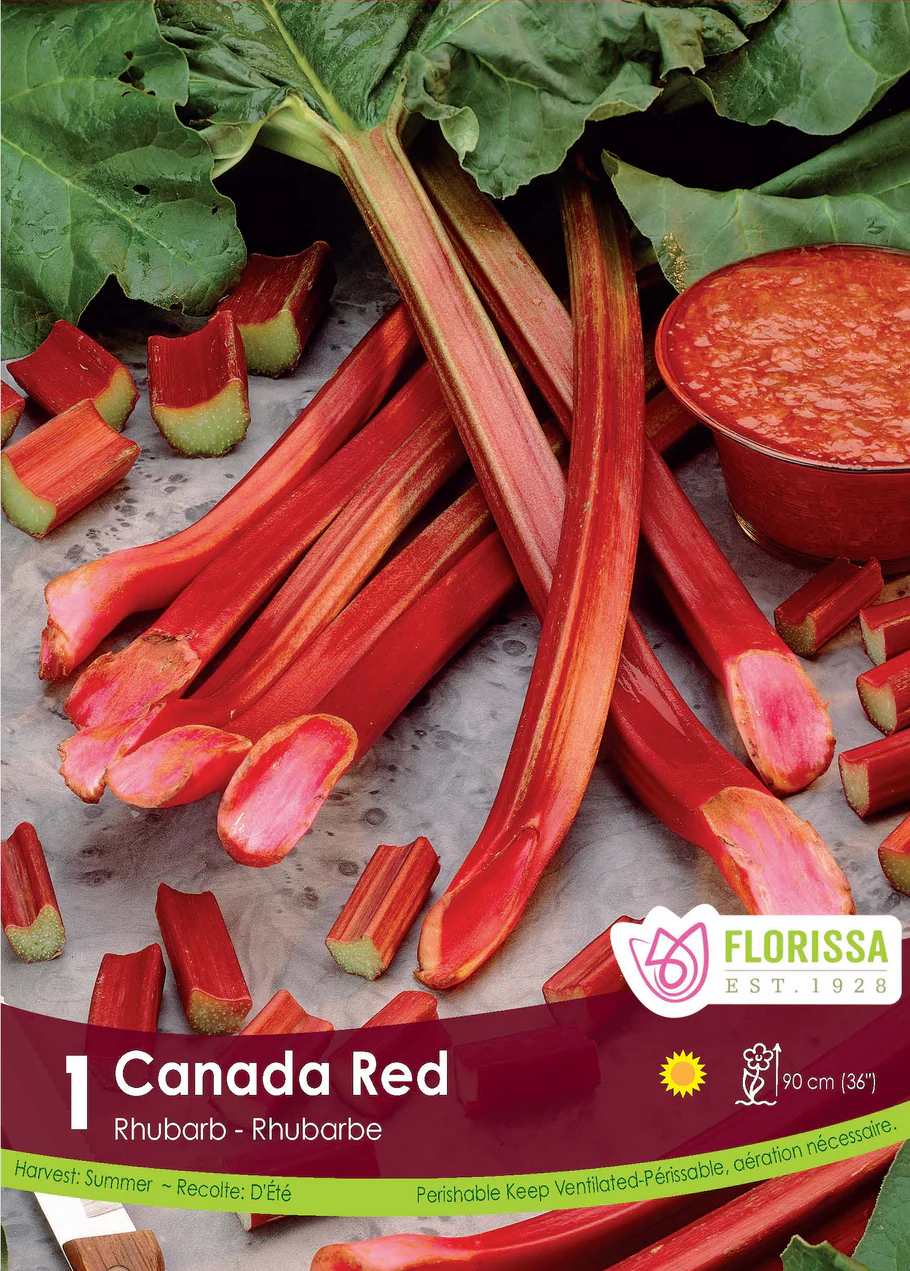 RHUBARB Canada Red
