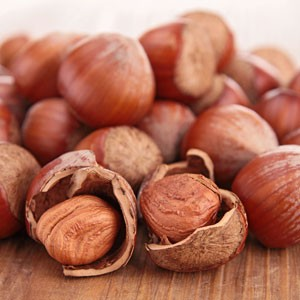 Corylus avellena 'McDonald'