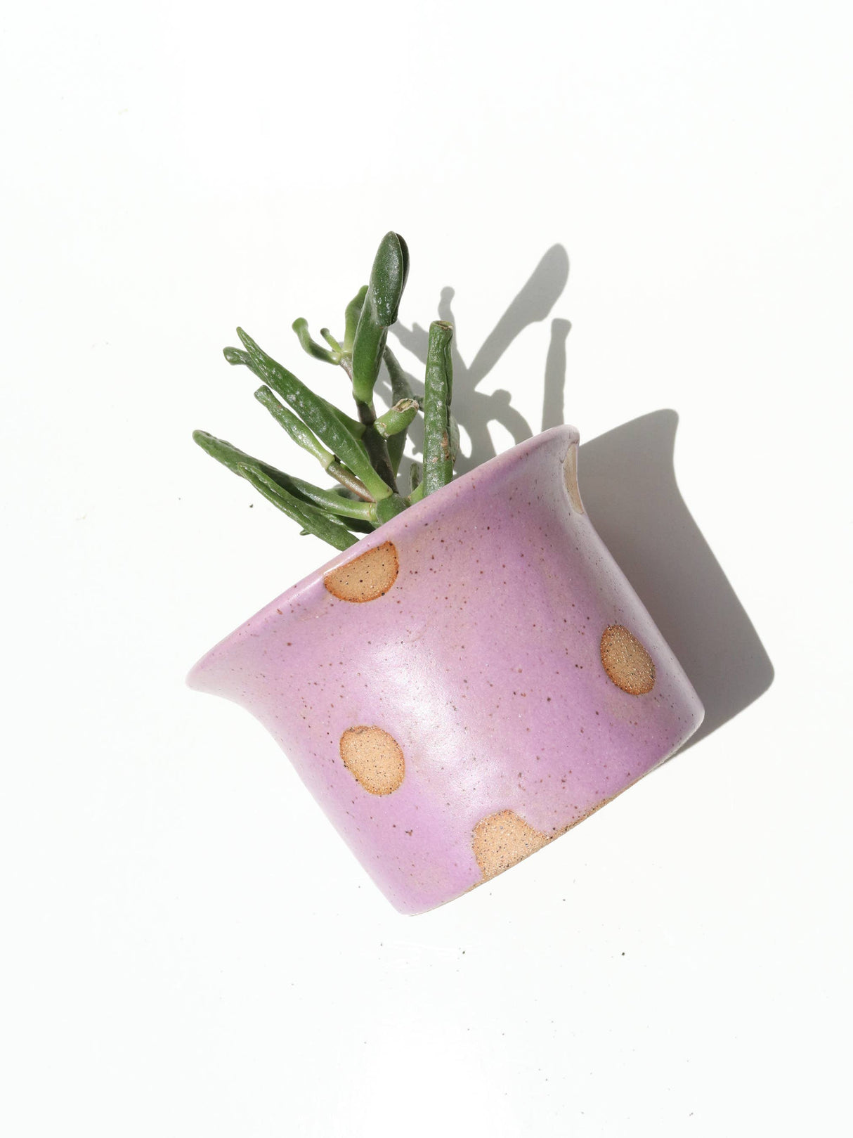 Small Ceramic Planter - Polka Dot