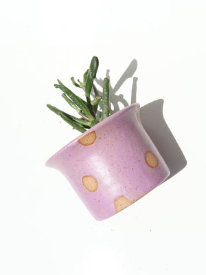 Small Ceramic Planter - Polka Dot