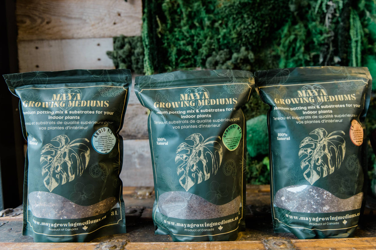 General blend-Potting soil for indoor plants