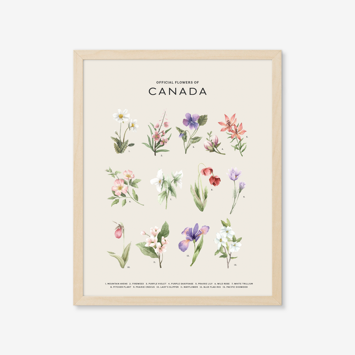 Official Flowers of Canada Art Print