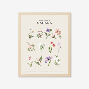 Official Flowers of Canada Art Print