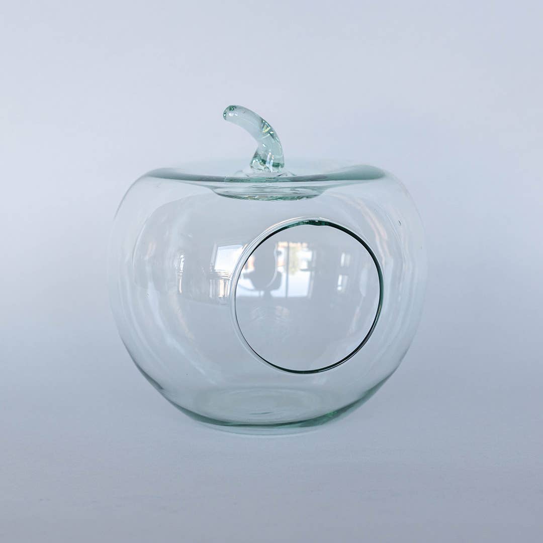 Glass Apple Terrarium
