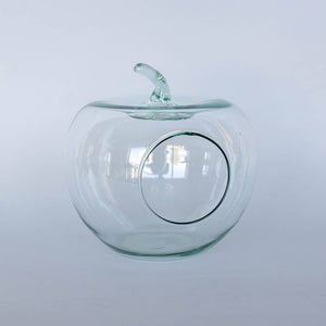 Glass Apple Terrarium