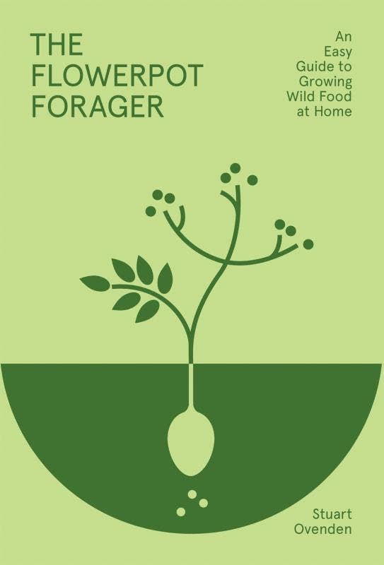 The Flowerpot Forager: Growing Wild Food at Home