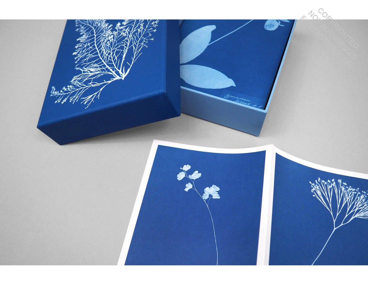 The Cyanotypes of Anna Atkins