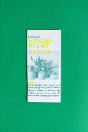 Plant Primer : Houseplant Basics