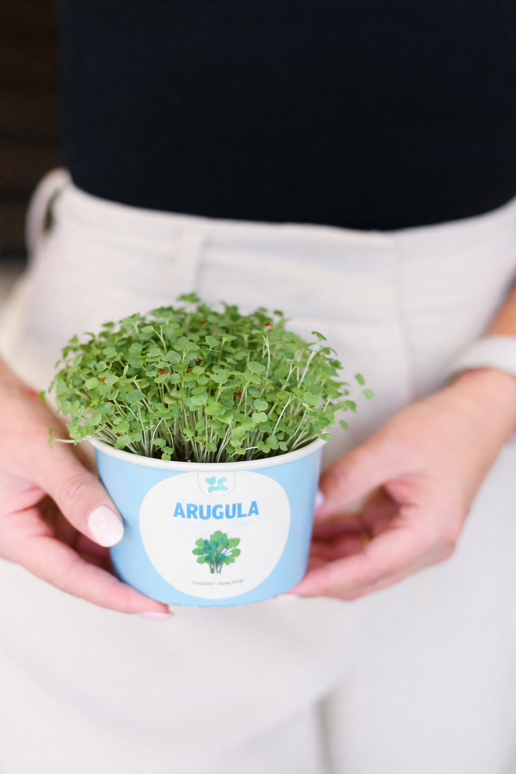Father's Day Sow and Grow Organic Microgreens Gift Box