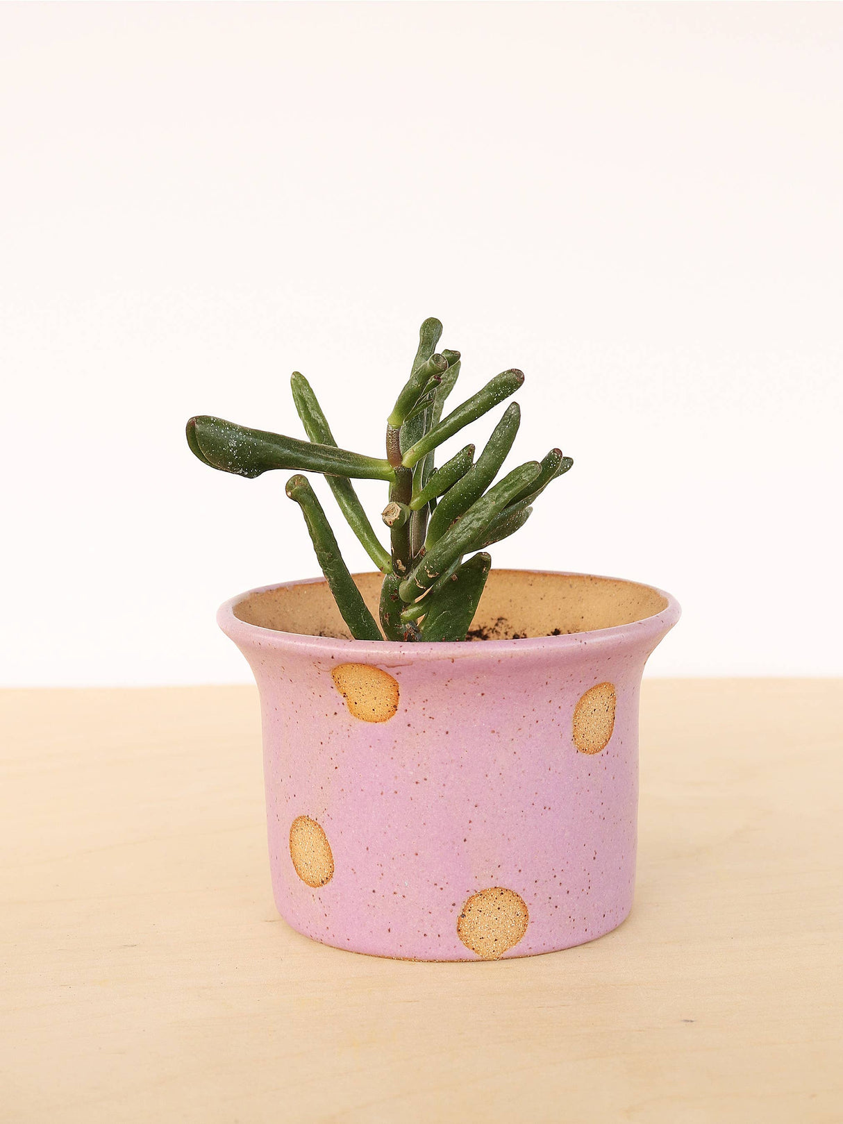 Small Ceramic Planter - Polka Dot