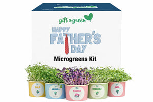 Father's Day Sow and Grow Organic Microgreens Gift Box