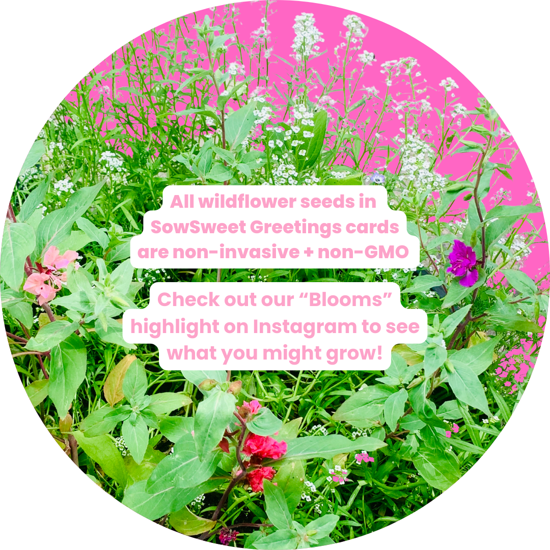 Flower Bundle - Greeting Card