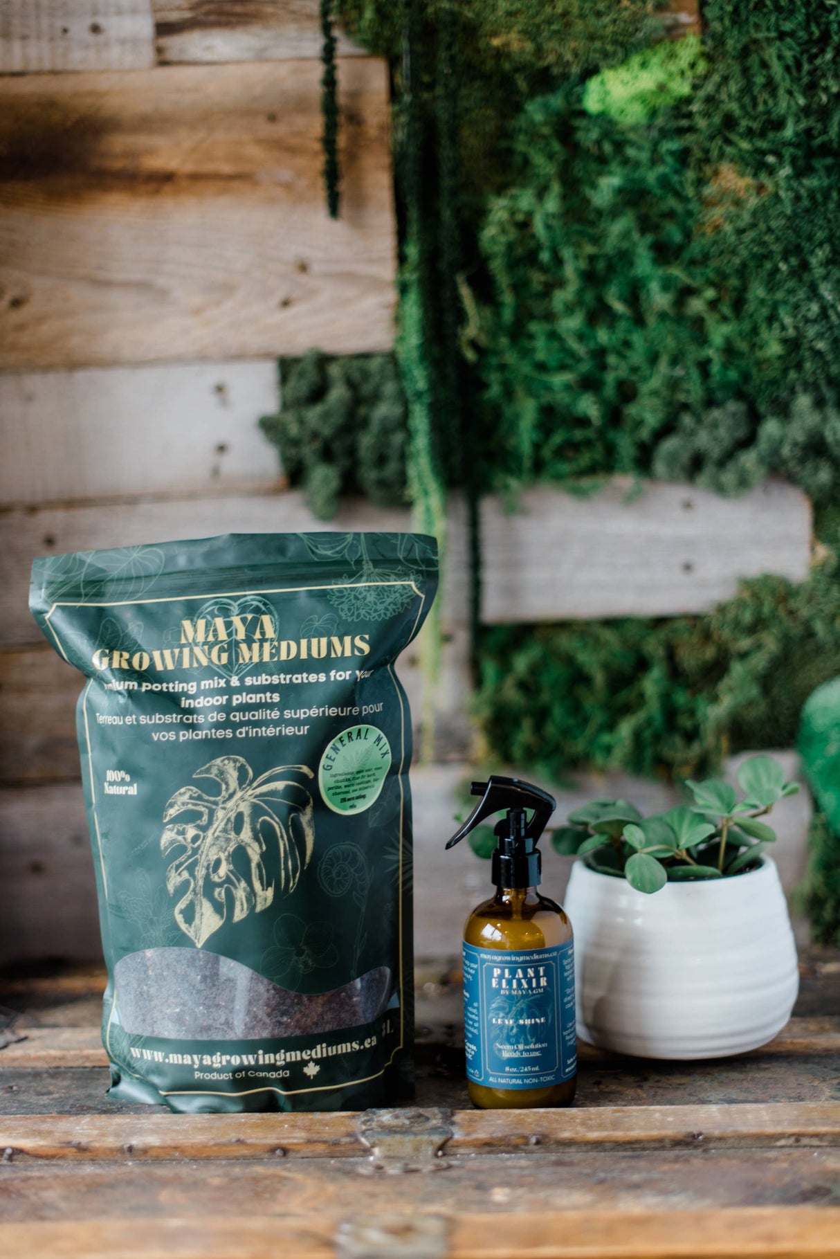 General blend-Potting soil for indoor plants