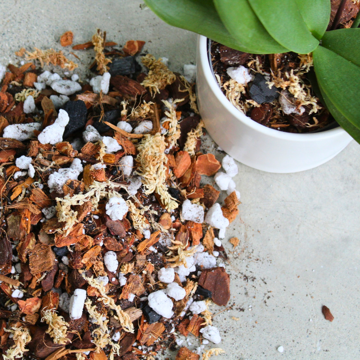 Orchid blend- Potting media
