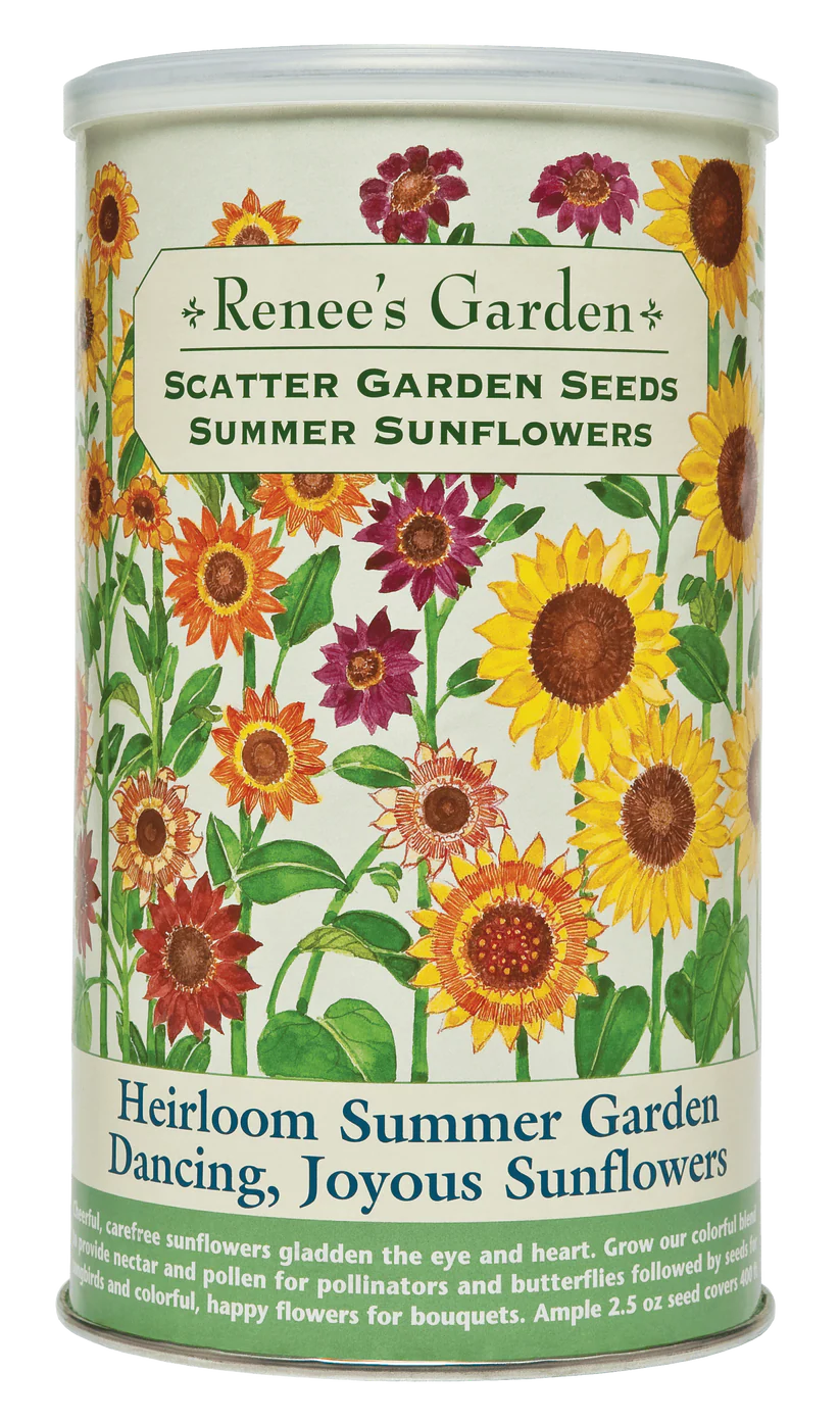 Scatter Garden Seeds - Summer Sunflowers
