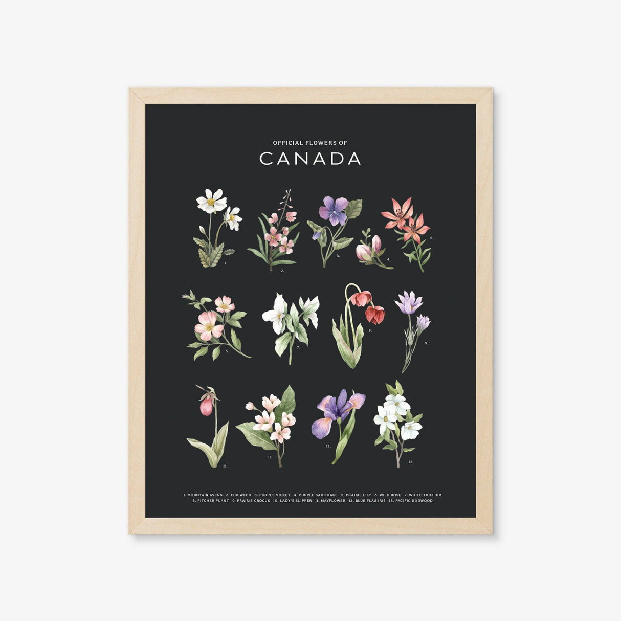 Official Flowers of Canada Art Print