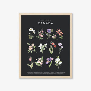 Official Flowers of Canada Art Print