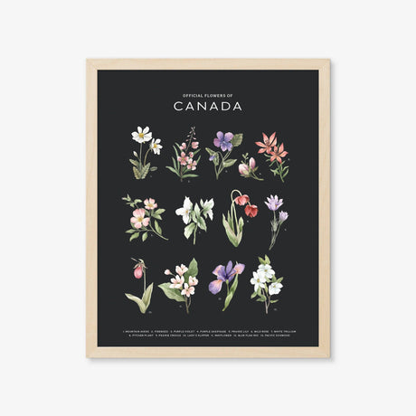 Official Flowers of Canada Art Print